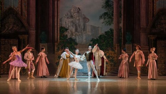 Балет «Спящая красавица»