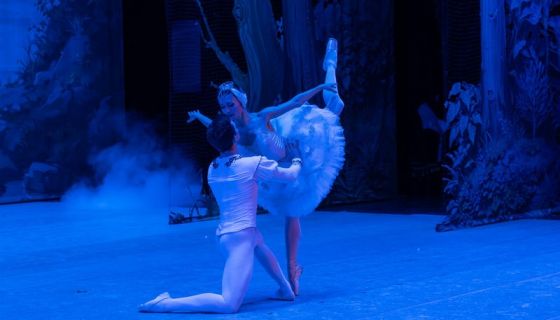 Балет «Лебединое озеро», Мичуринск