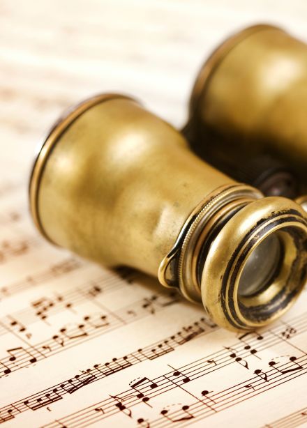 Дождь из желтых цветов