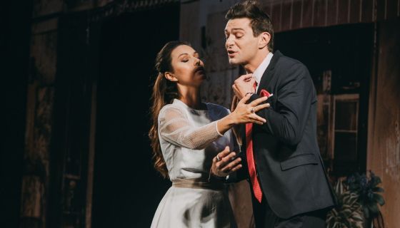 Спектакль «Идеальный свидетель»