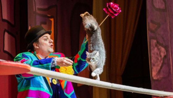 Владимир Куклачёв. Волшебные кошки