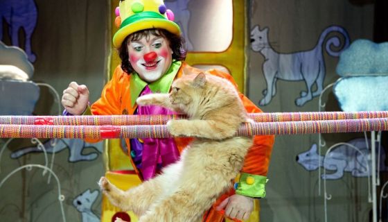 Владимир Куклачёв. Волшебные кошки