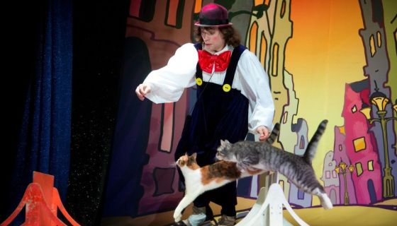 Владимир Куклачёв. Волшебные кошки