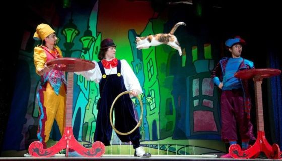 Владимир Куклачёв. Волшебные кошки