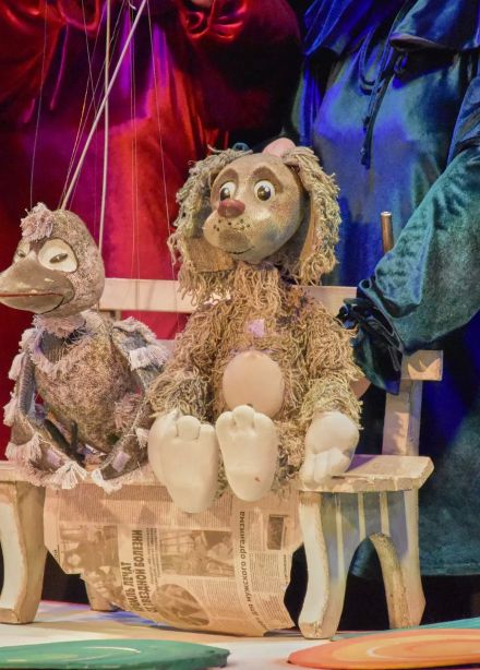 Собачья радость